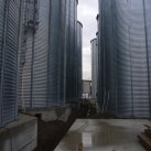 P1030220